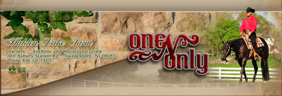 One N Only